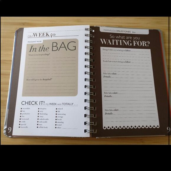 Pregnancy countdown Journal the Nine by Kelly sopp NWt health/wellness/diet book - Picture 2 of 9